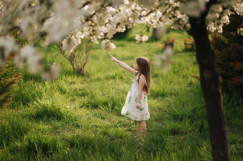 Du musst das Leben nicht verstehen